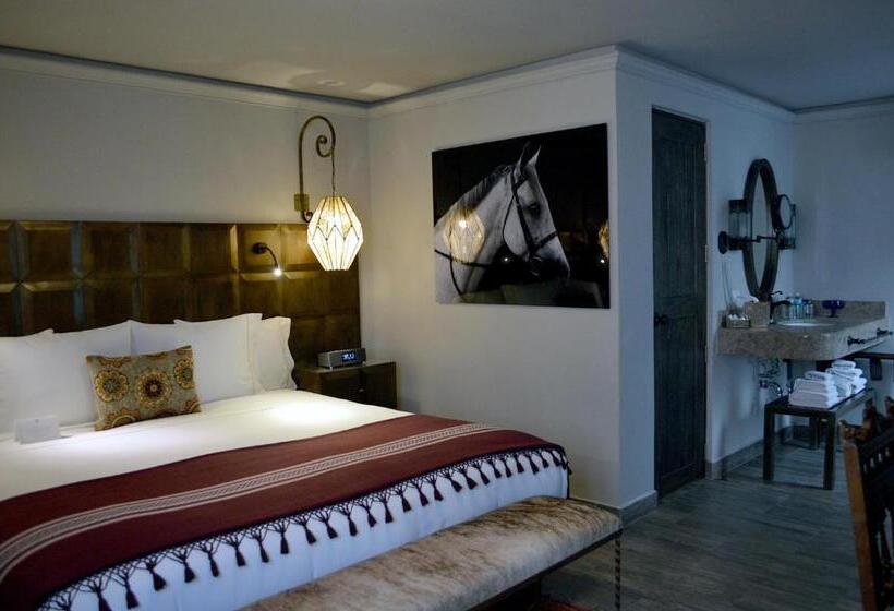 スタンダードスタジオ, Casa 1810 Hotel Boutique