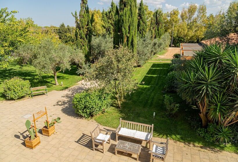 Классический Номер, Wine Resort Leda D Ittiri
