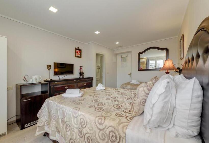 اتاق لوکس با چشم‌انداز شهر, Metropole Luxury Rooms