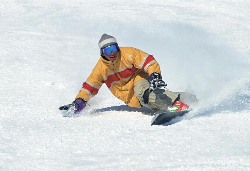 اتاق دوبلکس, Resort Inn Niseko