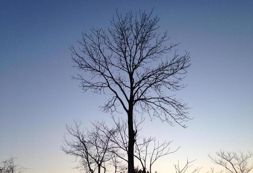 标准间, Resort Inn Niseko