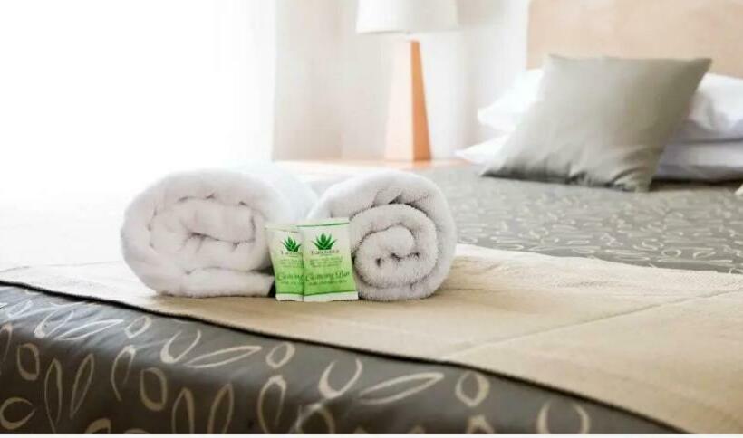 스탠다드 룸, Capella Coach Inn