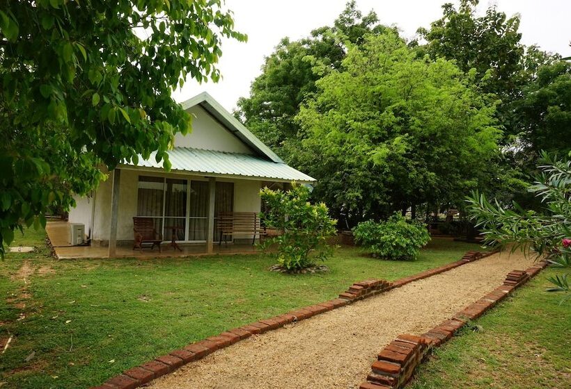 Шале 1 Спальня, Rangiri Dambulla Resort
