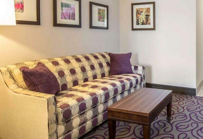 스위트 킹사이즈 침대, Comfort Inn & Suites