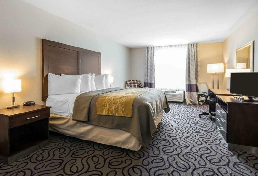 스탠다드 룸 킹사이즈 침대, Comfort Inn & Suites