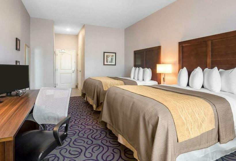 스탠다드 룸, Comfort Inn & Suites