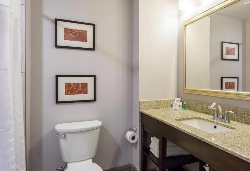 חדר סטנדרט, Comfort Inn & Suites