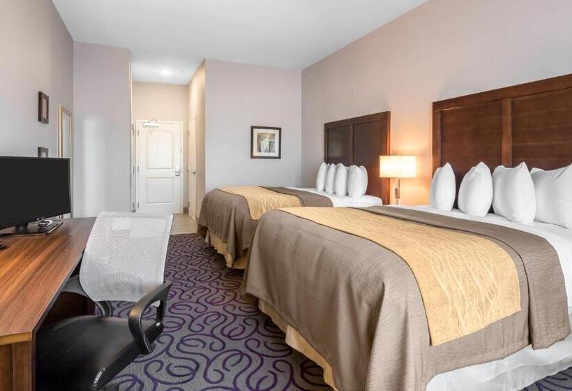 스탠다드 룸, Comfort Inn & Suites