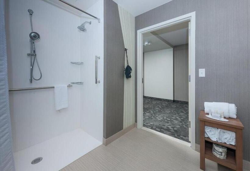 Стандартный Номер Кровать Кинг, Courtyard By Marriott Boston Littleton