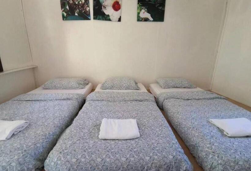 اتاق استاندارد سه تخته با سرویس بهداشتی مشترک, Moonriver Lodge