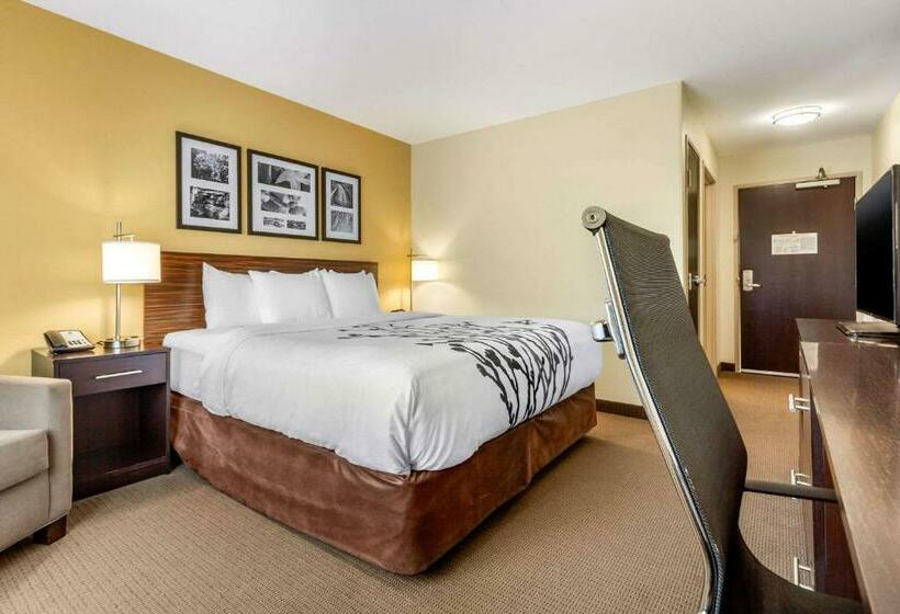 스탠다드 룸 킹사이즈 침대, Sleep Inn & Suites Lincoln University Area