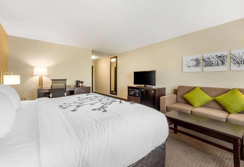 장애인을 위한 스위트, Sleep Inn & Suites Lincoln University Area