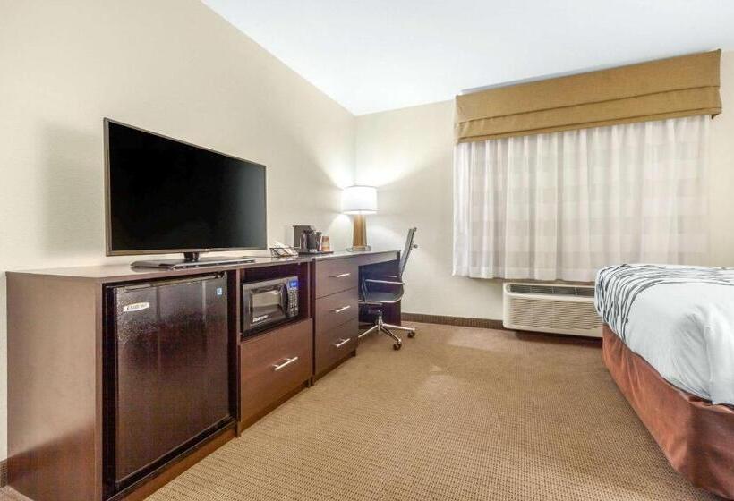 장애인을 위한 스탠다드 룸, Sleep Inn & Suites Lincoln University Area