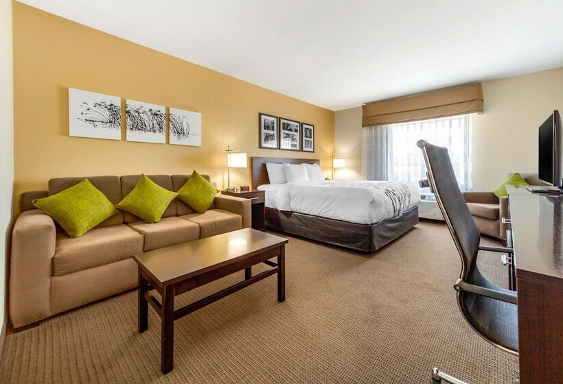 스위트, Sleep Inn & Suites Lincoln University Area