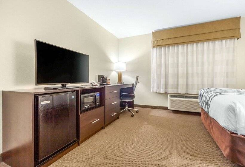 장애인을 위한 스위트, Sleep Inn & Suites Lincoln University Area
