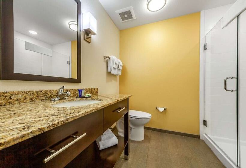 스위트, Sleep Inn & Suites Lincoln University Area