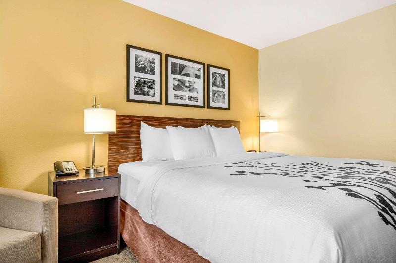 스탠다드 룸 킹사이즈 침대, Sleep Inn & Suites Lincoln University Area