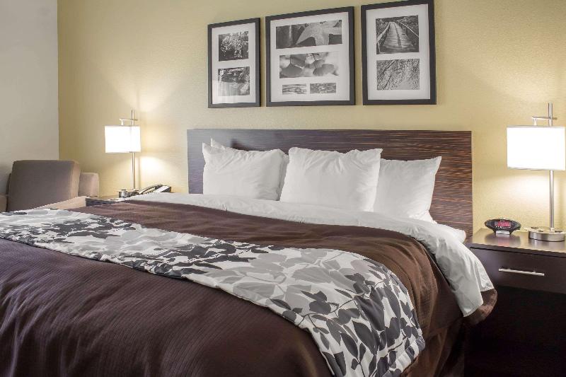 스탠다드 룸 킹사이즈 침대, Sleep Inn & Suites Lincoln University Area