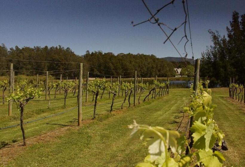 디럭스 스위트, The Carriages Boutique Hotel and Vineyard