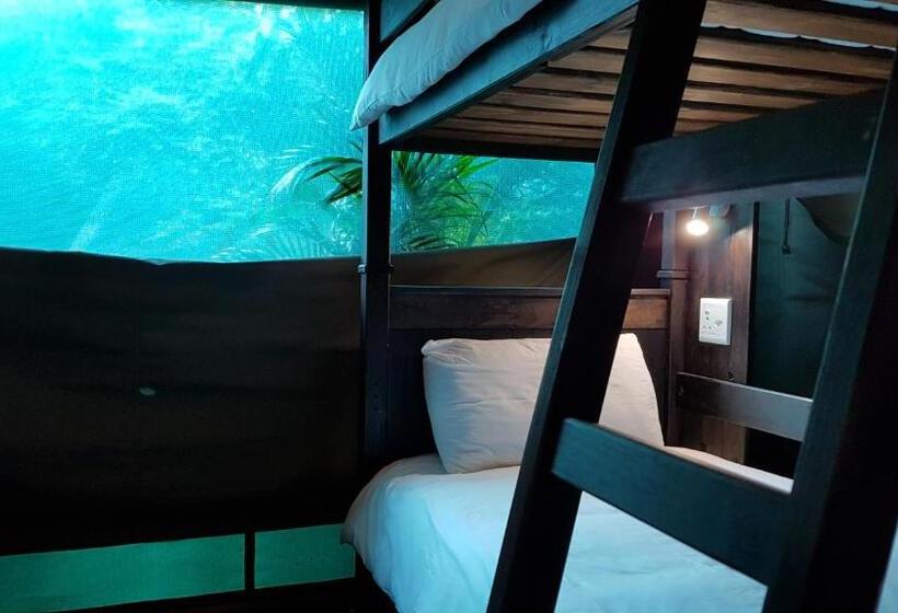共用房间的床, Urban Glamping Tranquil International Backpacking Village