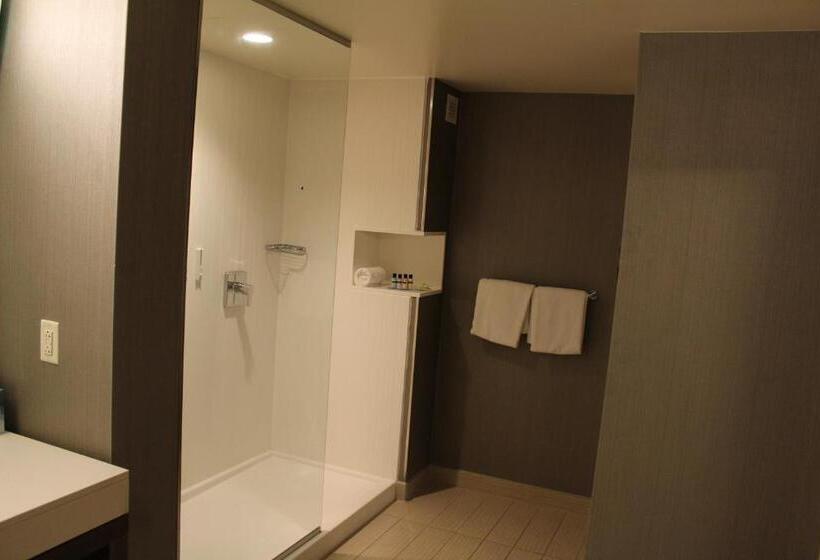 Стандартный Номер Кровать Кинг, Courtyard By Marriott Muncie At Horizon Convention Center