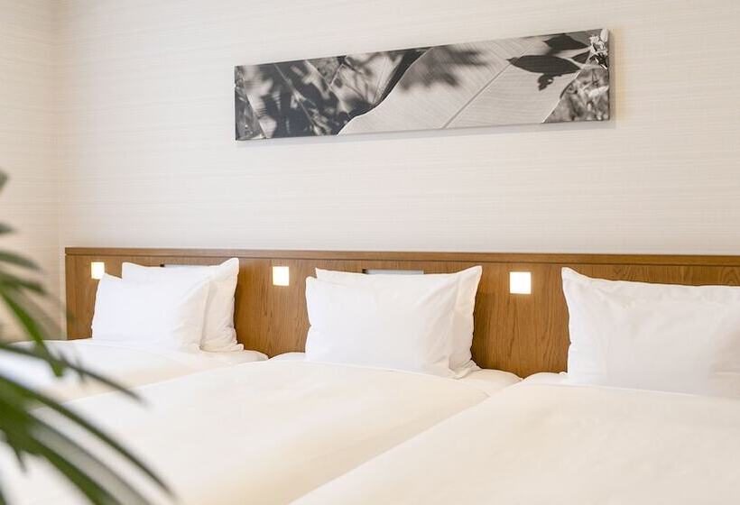Quarto Triplo Estandar, Gracery Naha