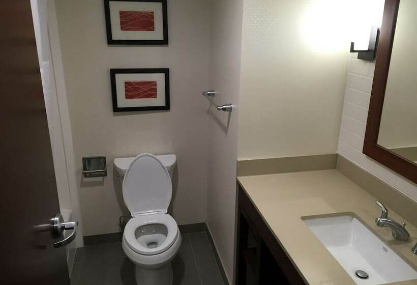 جناح, Comfort Inn & Suites Pittsburgh South
