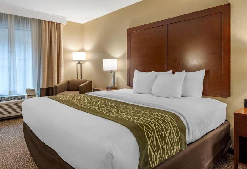 غرفة قياسية سرير كينج, Comfort Inn & Suites Pittsburgh South