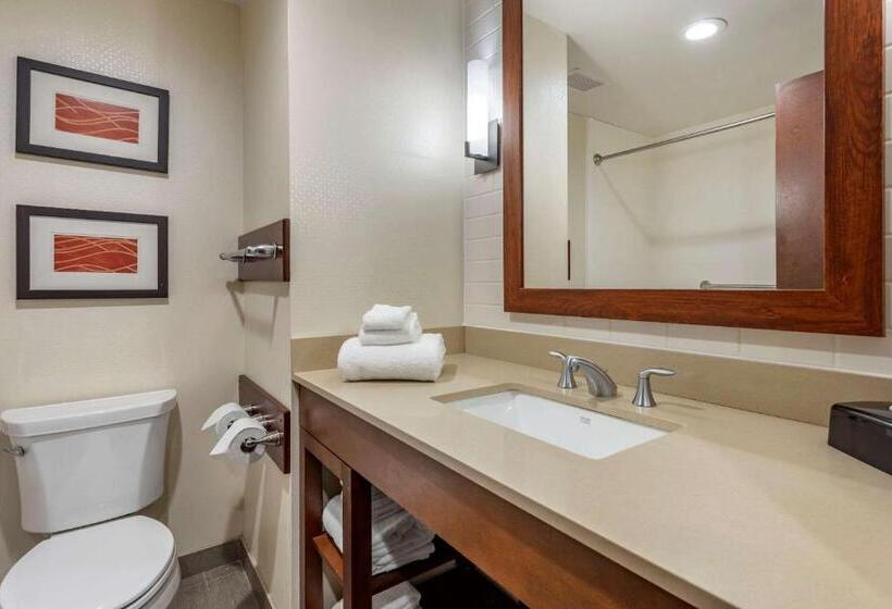 جناح لذوى الاحتياجات الخاصة, Comfort Inn & Suites Pittsburgh South
