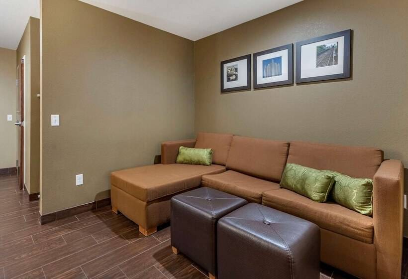 جناح لذوى الاحتياجات الخاصة, Comfort Inn & Suites Pittsburgh South