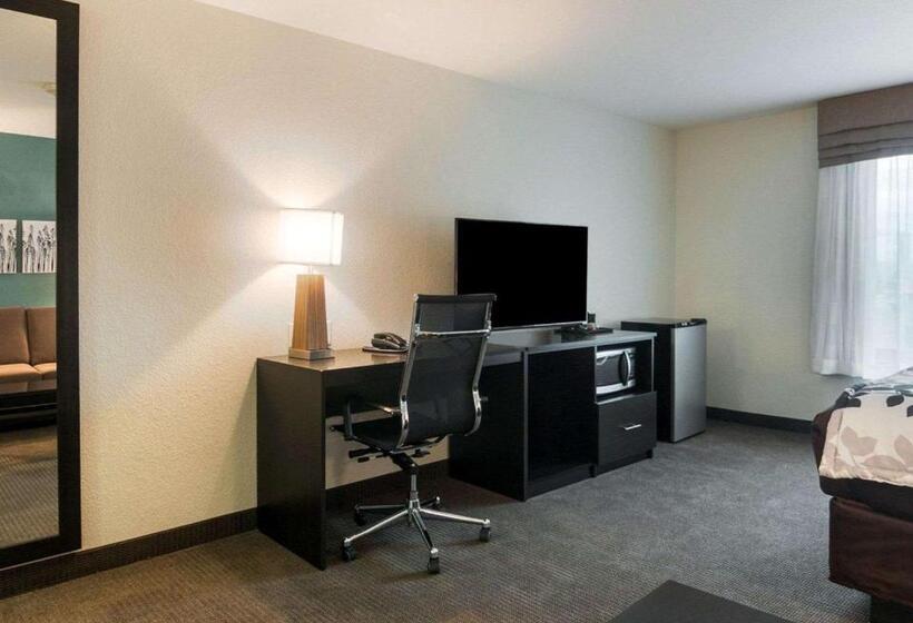 Люкс Кровать Кинг, Sleep Inn & Suites Fort Dodge