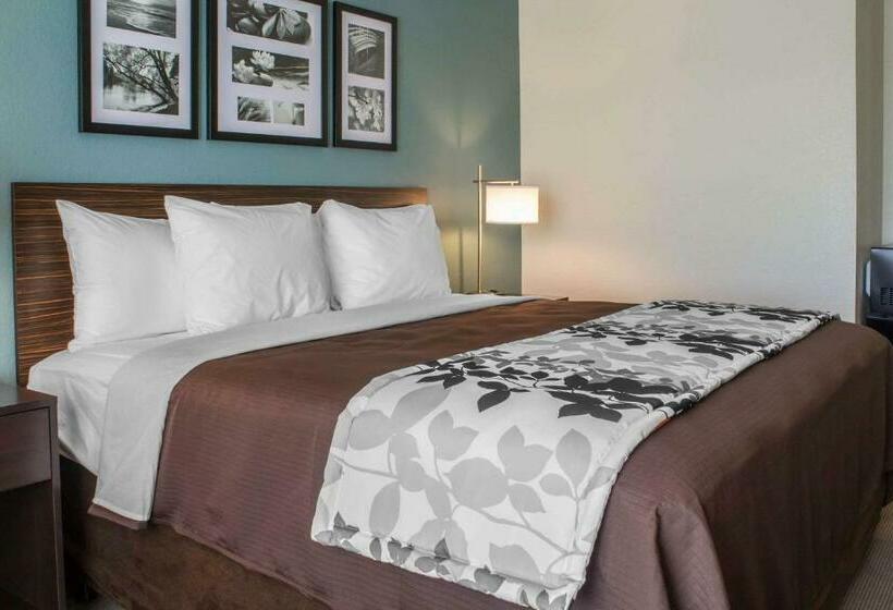 Стандартный Номер Кровать Кинг, Sleep Inn & Suites Fort Dodge