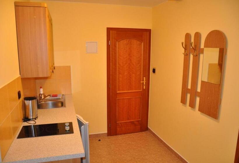 Апартаменты 1 Спальня, Apartmány Florian