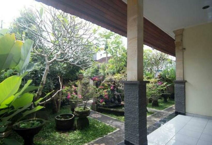 Номер Стандарт, Jiwa S House