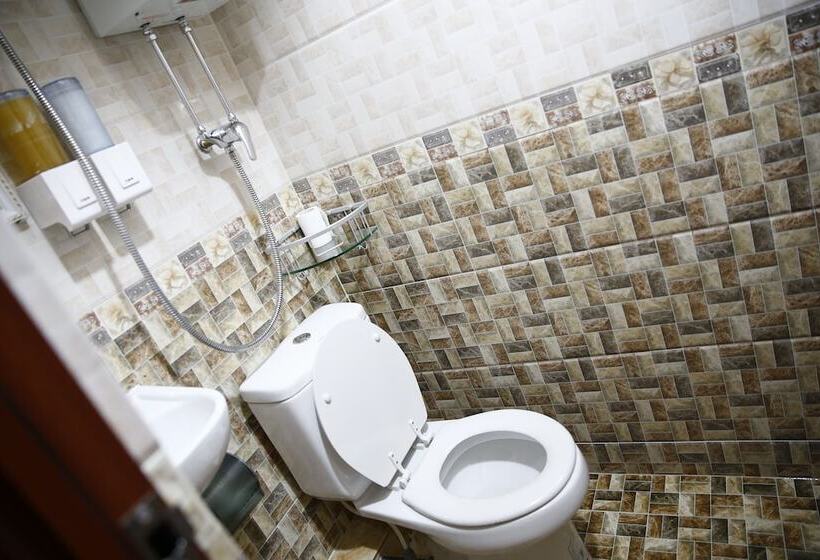 اتاق استاندارد سه نفره, Sandhu Guest House