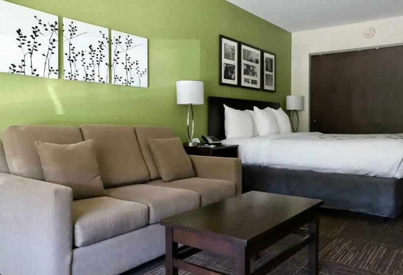 Стандартный Номер Кровать Кинг, Sleep Inn & Suites Belmont   St. Clairsville