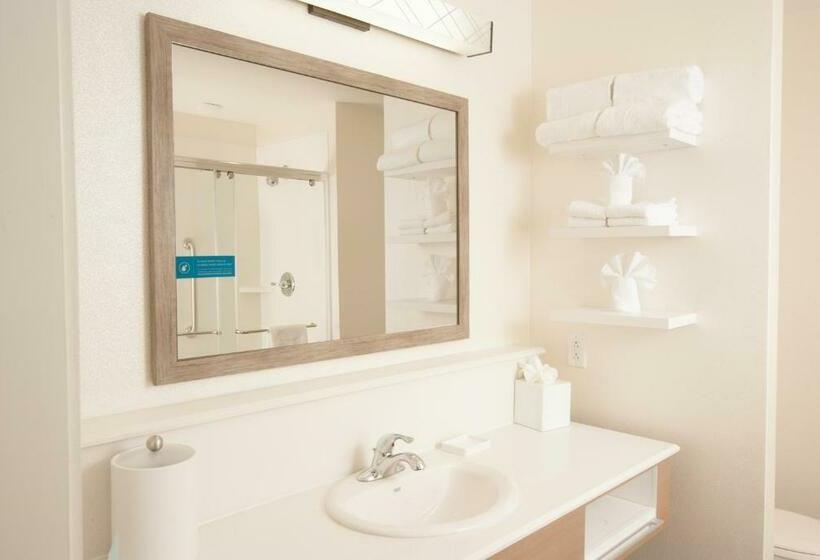 스탠다드 룸 킹사이즈 침대, Hampton Inn & Suites By Hilton Augustawashington Rd