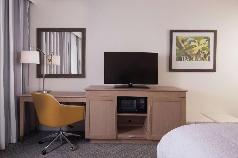 스탠다드 룸 킹사이즈 침대, Hampton Inn & Suites By Hilton Augustawashington Rd