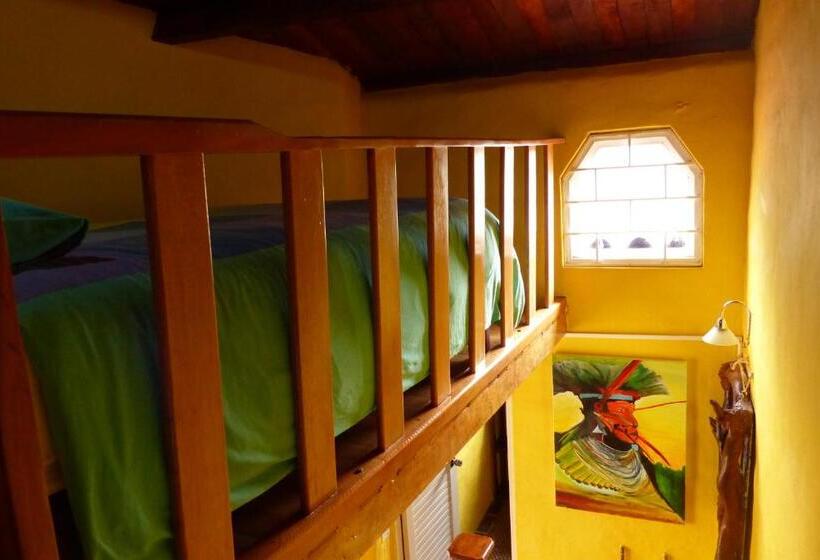 패밀리 룸, La Casa Amarilla