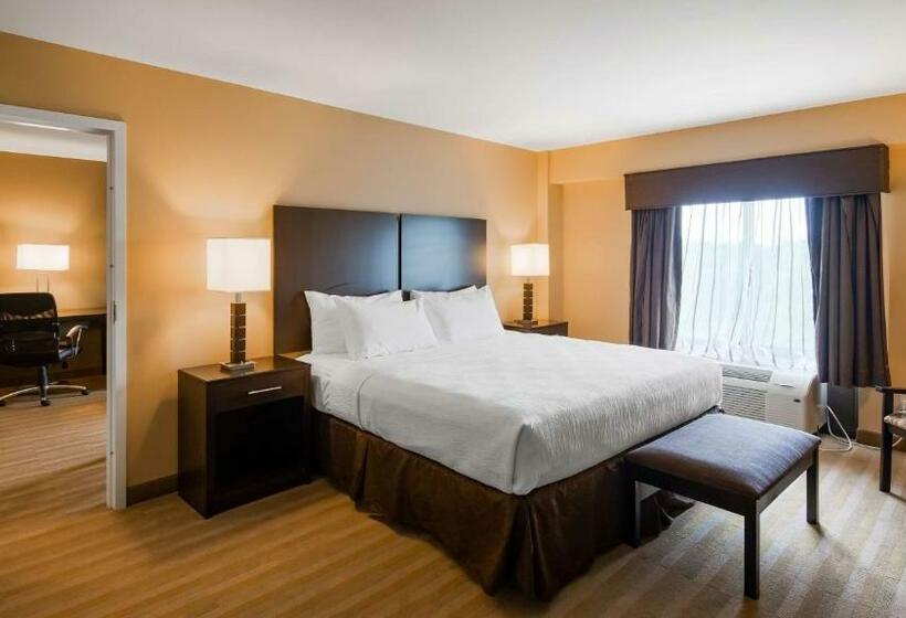 キングサイズベッドのスタンダードルーム, Best Western Plus Thornburg Inn & Suites