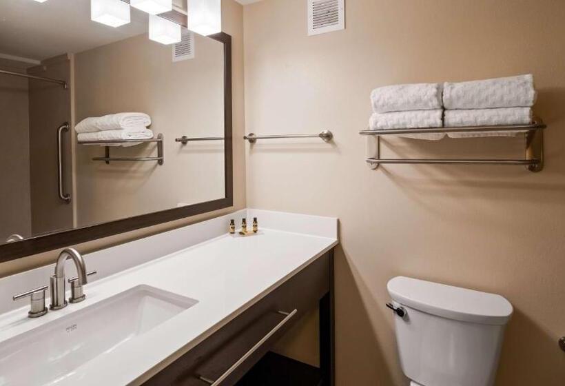 Номер Стандарт Кровать Кинг Адаптированный для Инвалидов, Best Western Plus Thornburg Inn & Suites