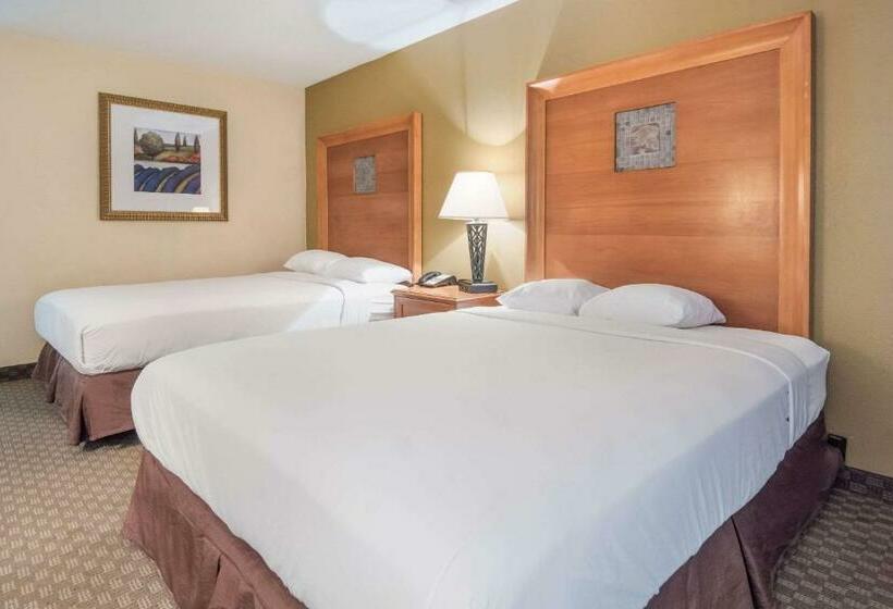 标准间, Rodeway Inn