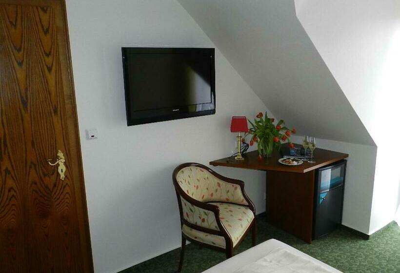 Номер Стандарт Вид на Реку, Garni Hotel Moselschild