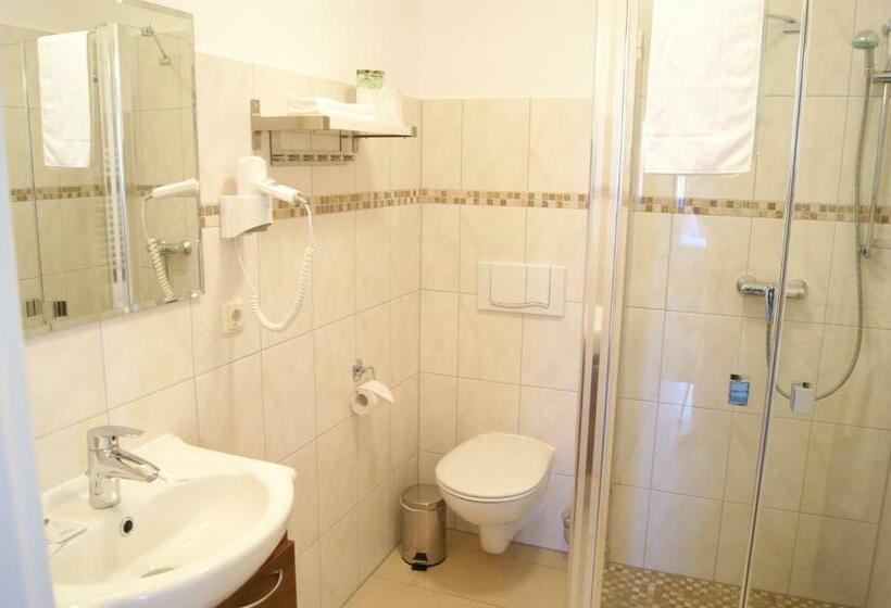Номер Стандарт, Pension Bellevue