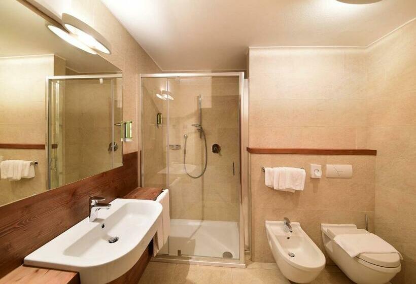 Апартаменты Superior 1 Спальня, Ariston Dolomiti Residence