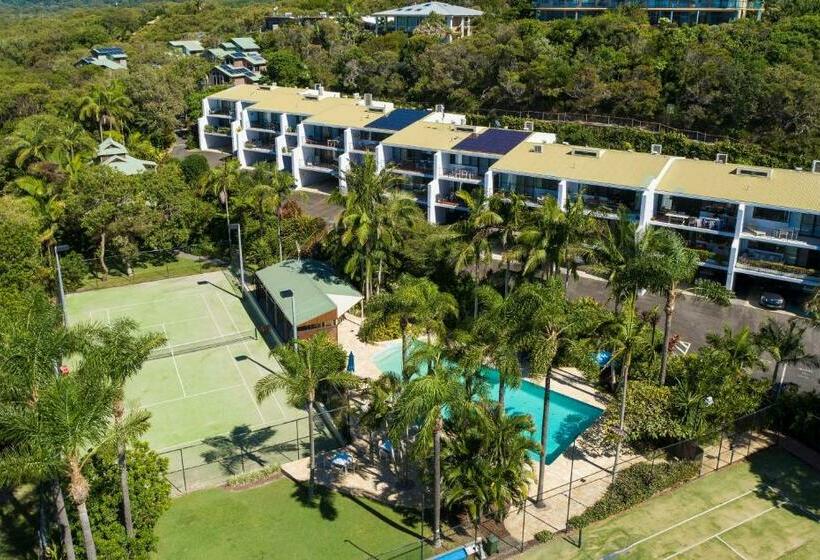 침실 2개 아파트, The Oasis Apartments And Treetop Houses