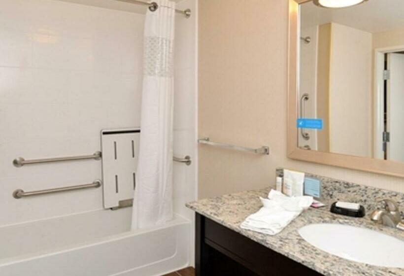 장애인을 위한 스탠다드 룸, Hampton Inn & Suites Douglas