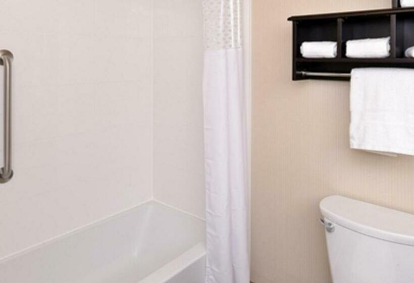 스탠다드 룸, Hampton Inn & Suites Douglas