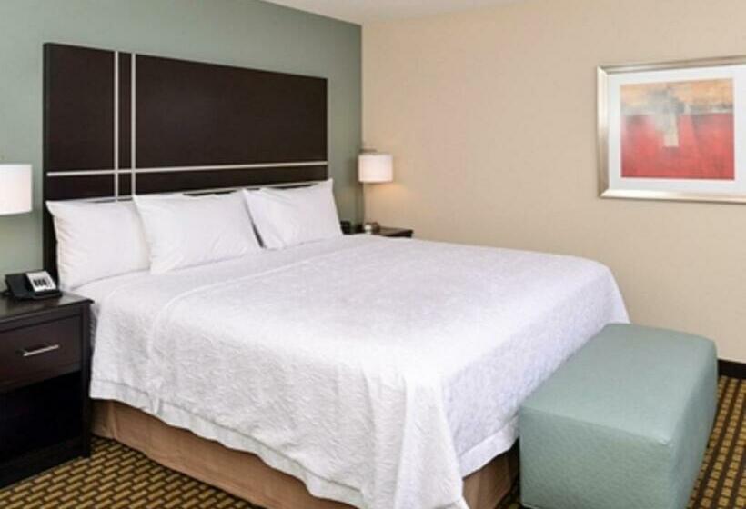 스탠다드 룸 킹사이즈 침대, Hampton Inn & Suites Douglas
