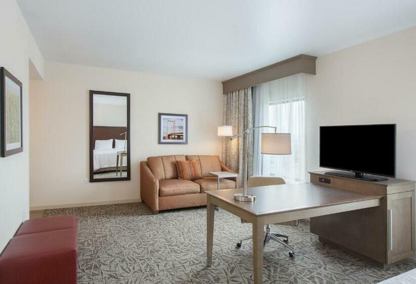 חדר דלוקס עם מיטת קינג, Hampton Inn & Suites Pasco/tricities